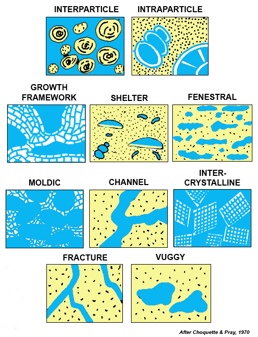 Types of porosity.